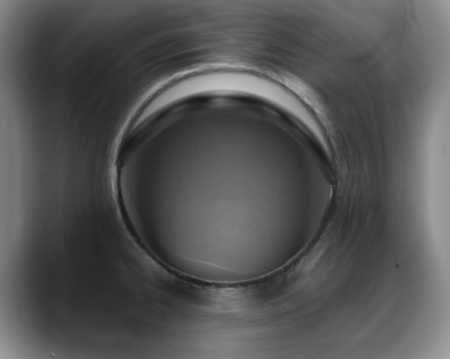 X0000088851334200706081128