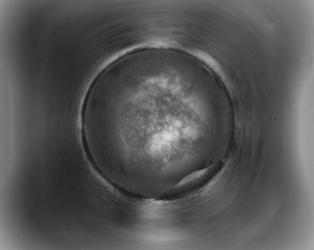 X0000088851335200706081128