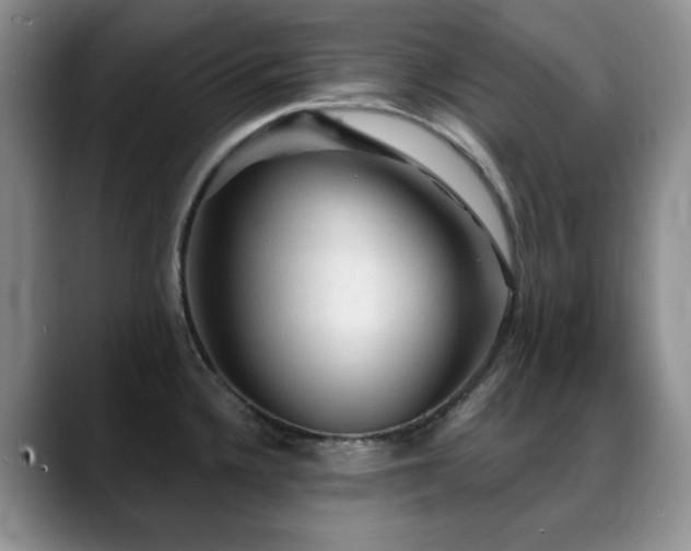 X0000088851336200706081128