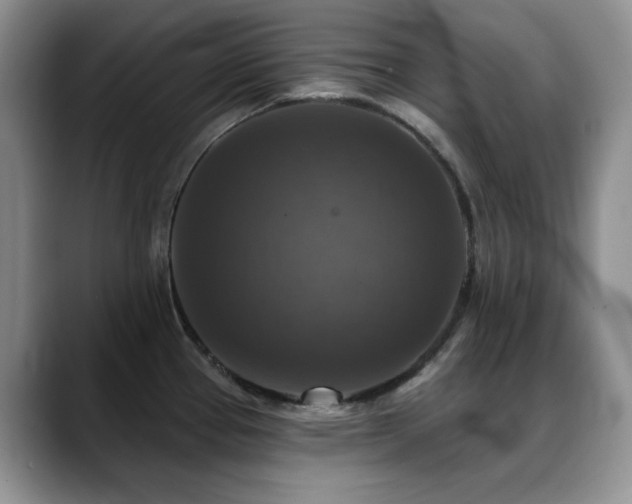 X0000088851337200706081128