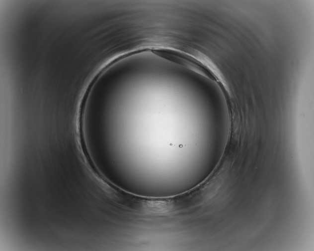 X0000088851339200706081128