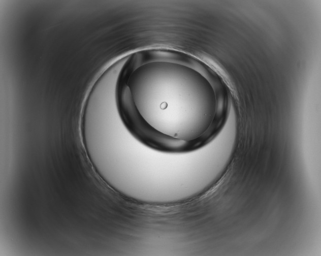 X0000088851340200706081128
