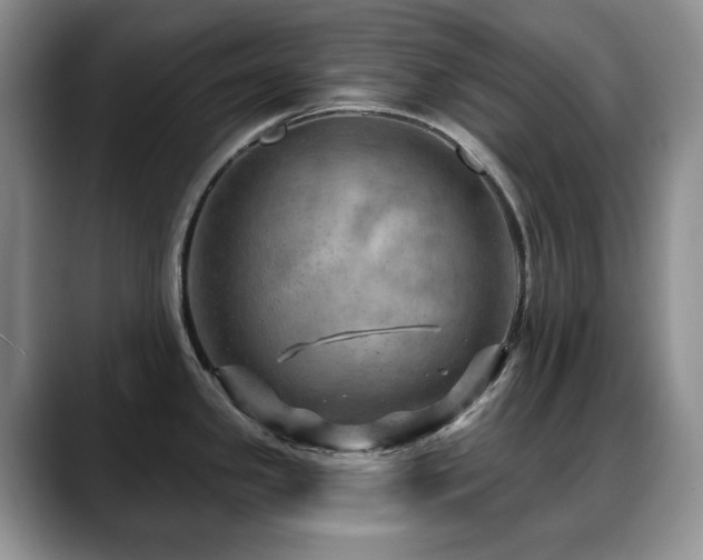 X0000088851341200706081128