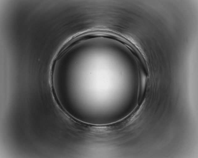 X0000088851342200706081128