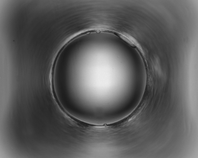 X0000088851343200706081128