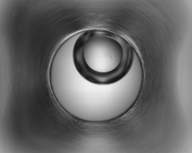 X0000088851344200706081128