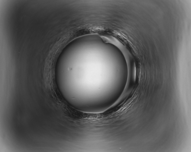X0000088851345200706081127