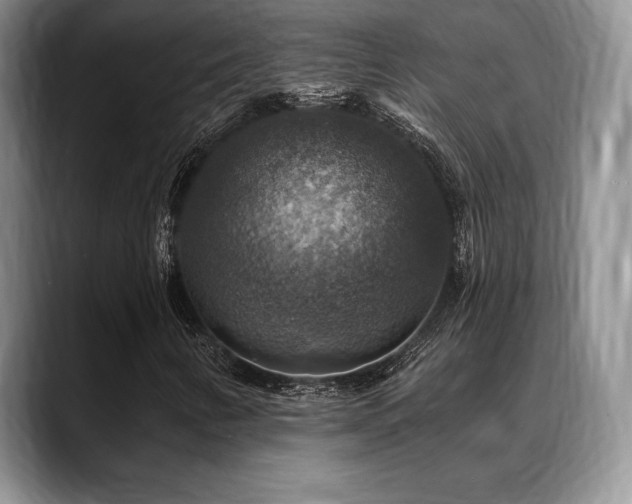 X0000088851346200706081127