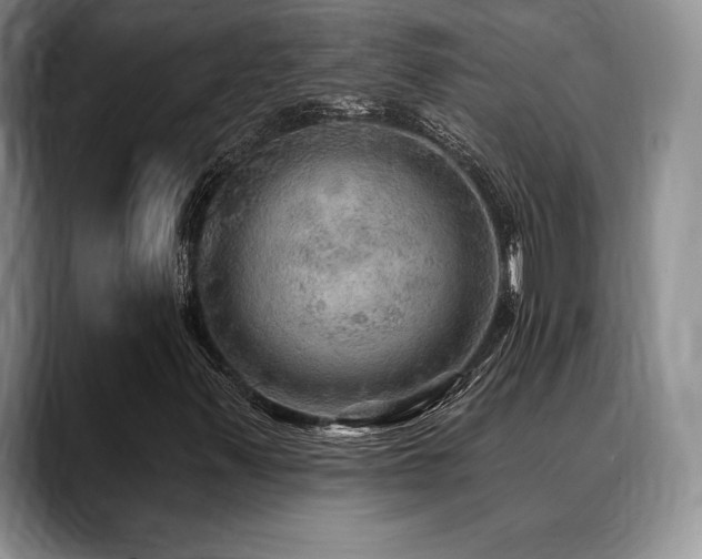 X0000088851347200706081127