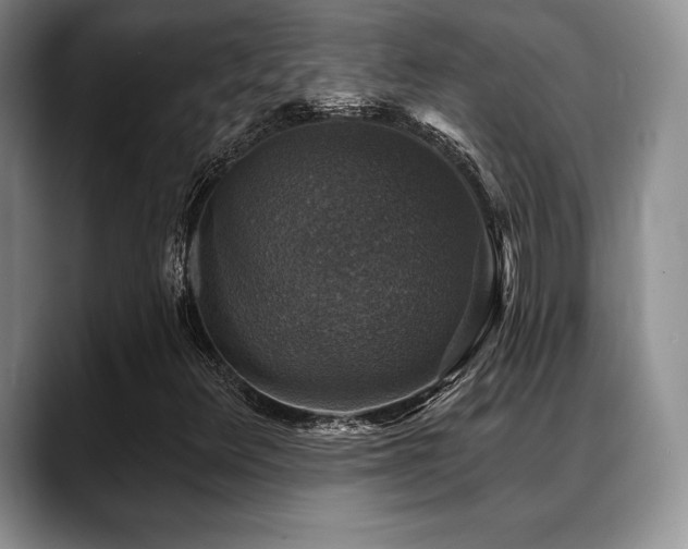 X0000088851348200706081127