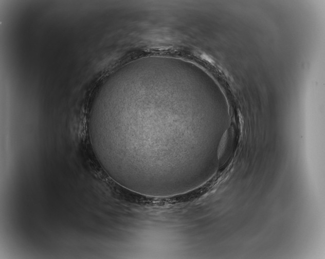 X0000088851350200706081127