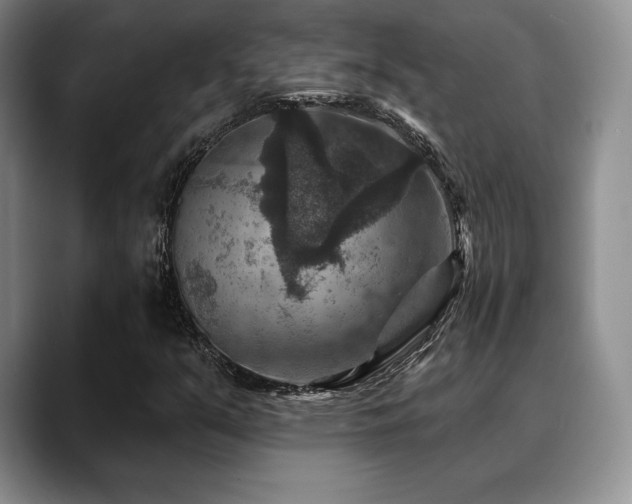 X0000088851351200706081127