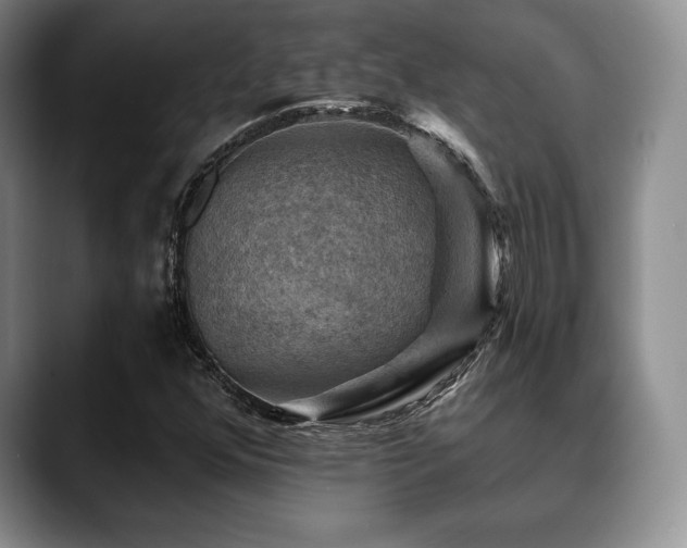 X0000088851352200706081127