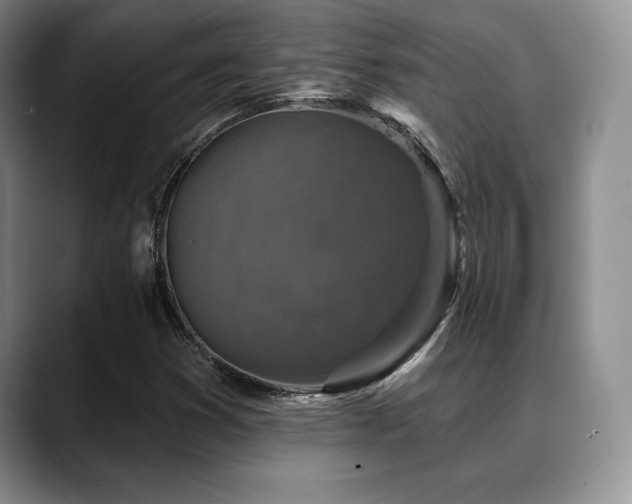 X0000088851353200706081127