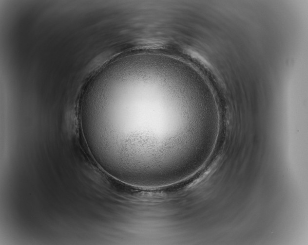 X0000088851354200706081127