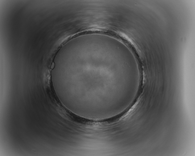 X0000088851355200706081127