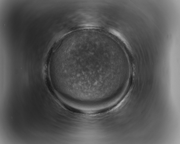 X0000088851357200706081127