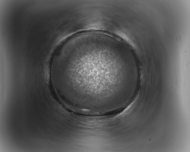 X0000088851358200706081127