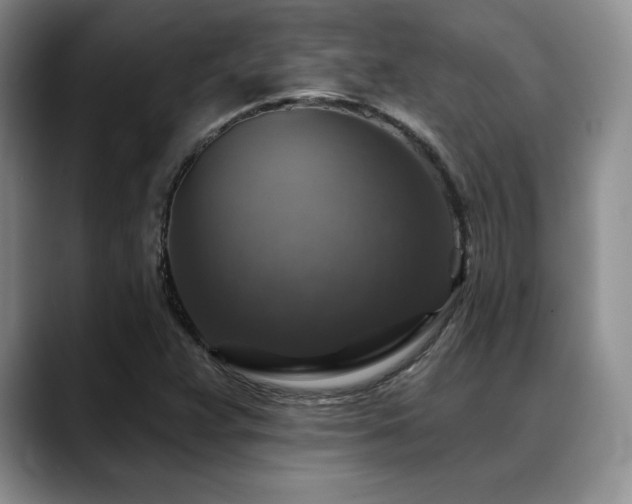 X0000088851359200706081127