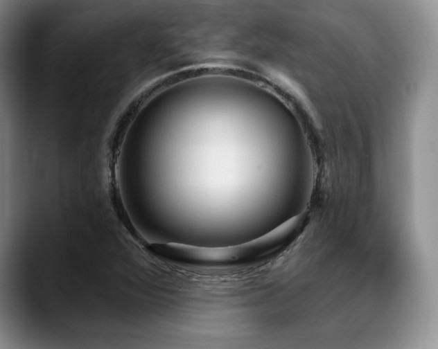 X0000088851360200706081127