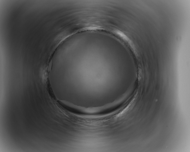 X0000088851361200706081127