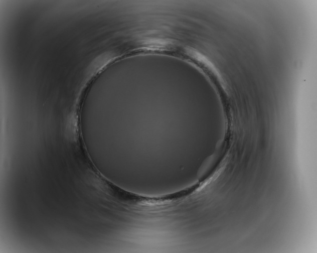 X0000088851362200706081127