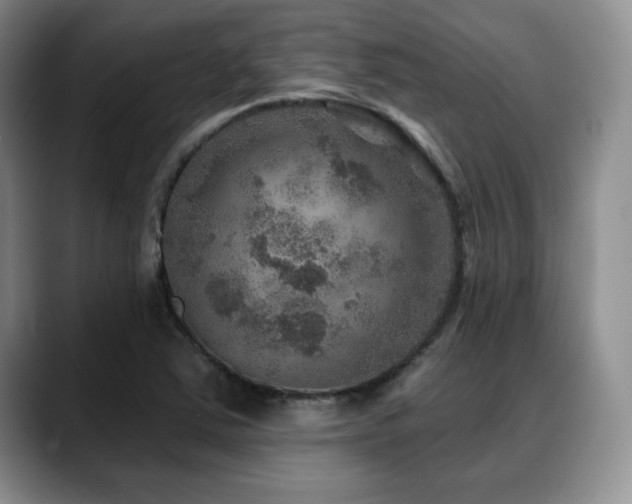 X0000088851363200706081127