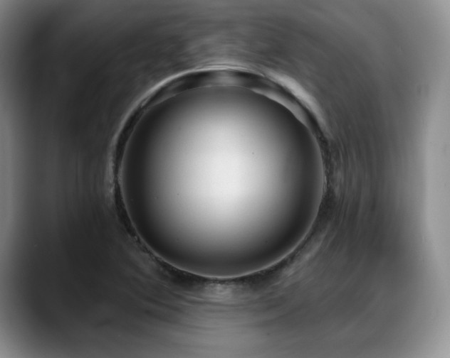 X0000088851364200706081127