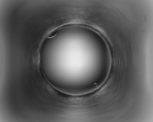 X0000088851366200706081127
