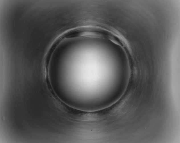 X0000088851368200706081127