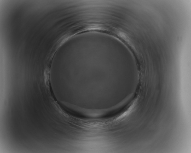 X0000088851369200706081127