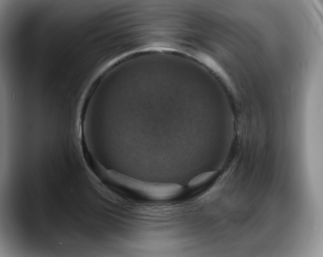 X0000088851372200706081127