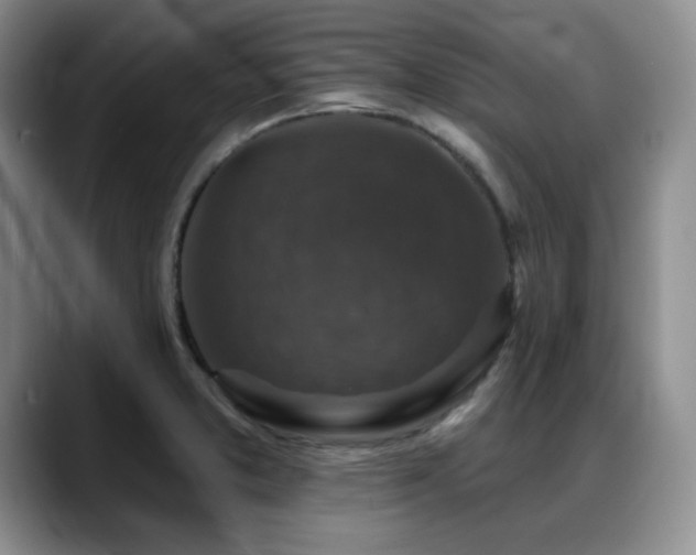 X0000088851373200706081127