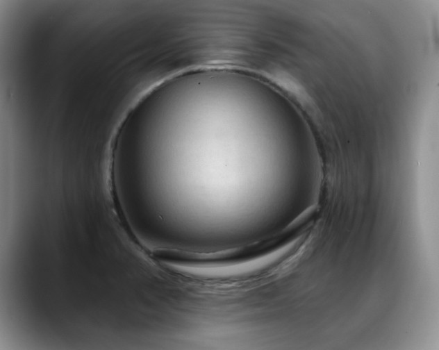 X0000088851374200706081127