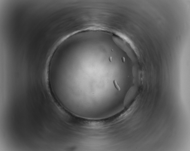 X0000088851375200706081127