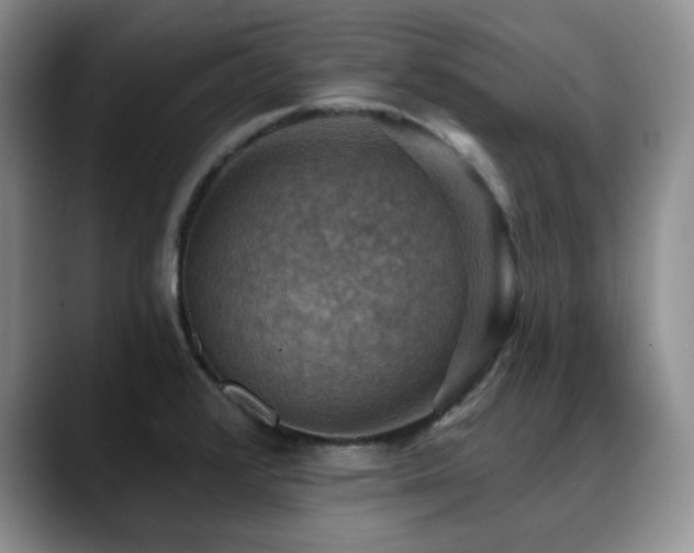 X0000088851376200706081127
