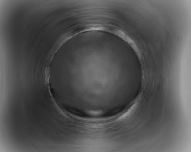 X0000088851377200706081127