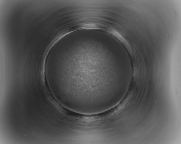 X0000088851378200706081127