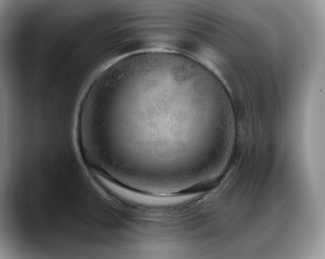X0000088851379200706081127