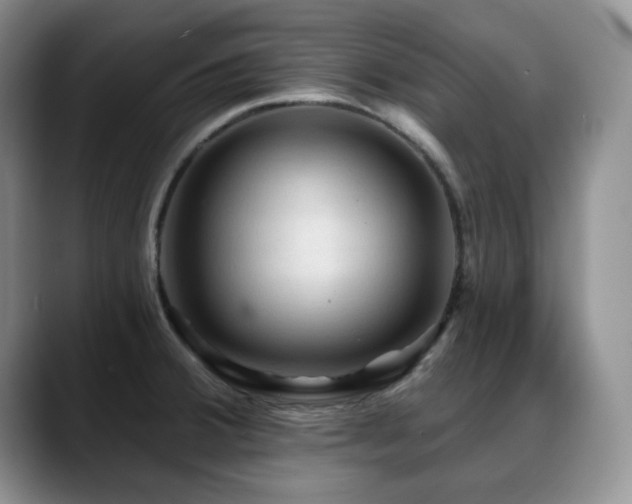 X0000088851380200706081127