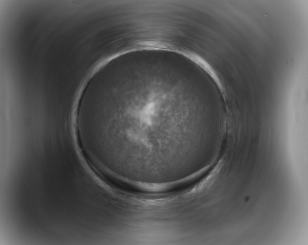 X0000088851381200706081127