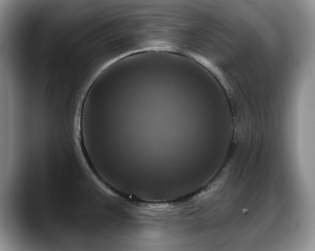 X0000088851383200706081127