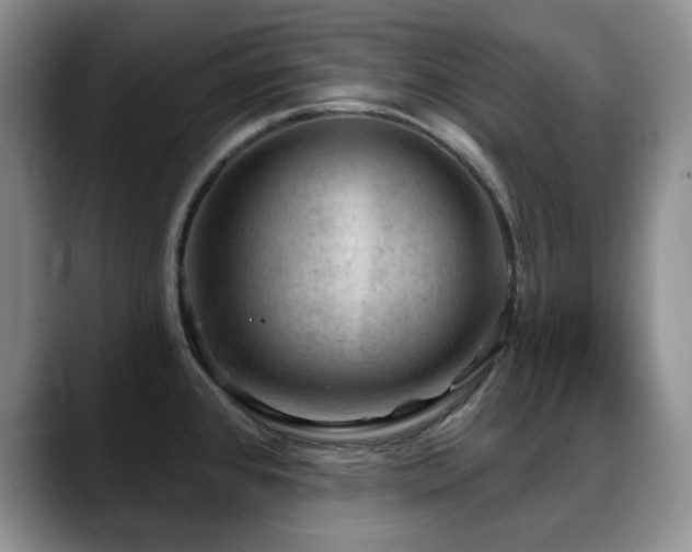 X0000088851384200706081127