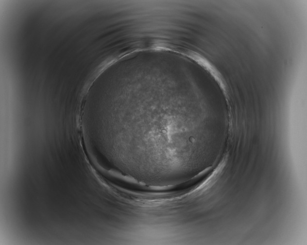 X0000088851385200706081127