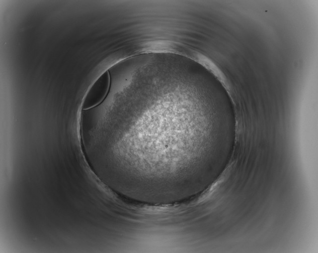 X0000088851386200706081127