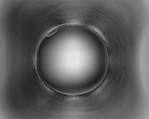 X0000088851387200706081127