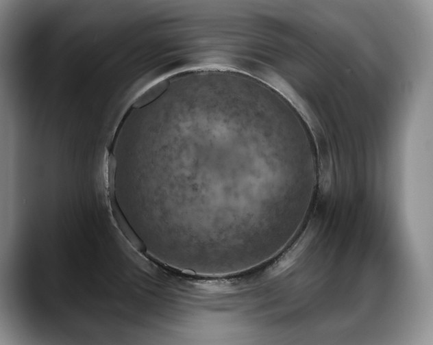 X0000088851388200706081127