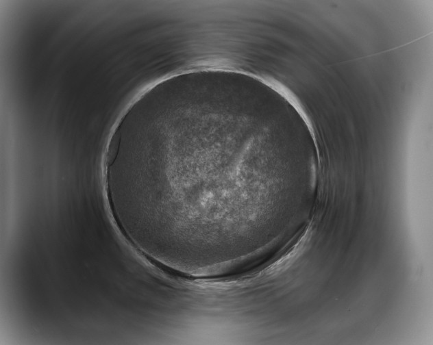 X0000088851389200706081127