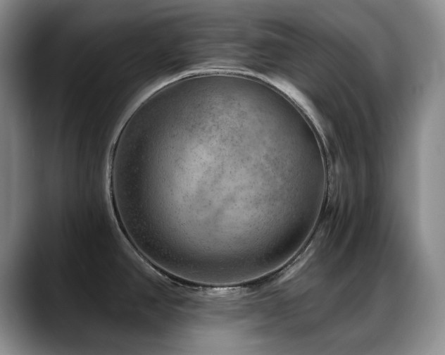 X0000088851390200706081127
