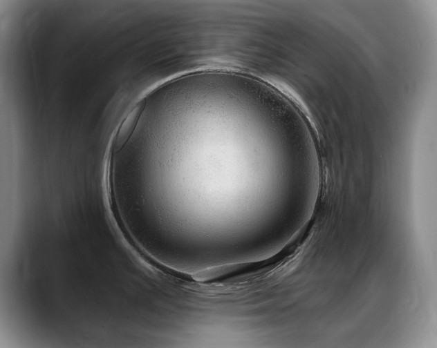 X0000088851391200706081127